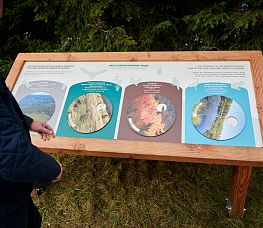 INFO CENTER POHORJE – ROGLA – naš dom vaše doživetje