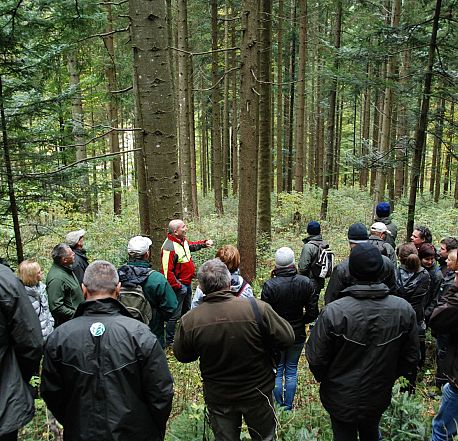 Ekskurzija Almenland