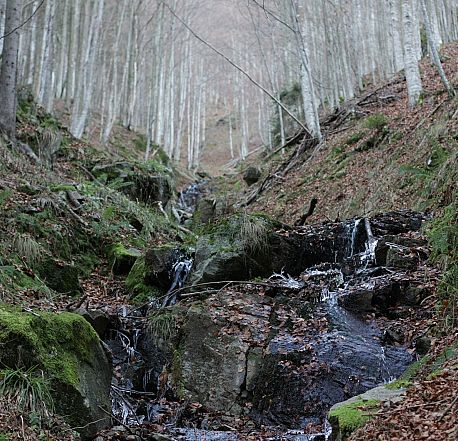 Tudi uradno se je pričel projekt Pohorka