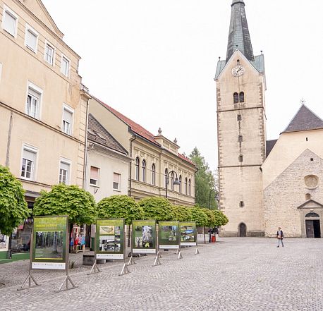 Ulična razstava Bukovi gozdovi za življenje Pohorja
