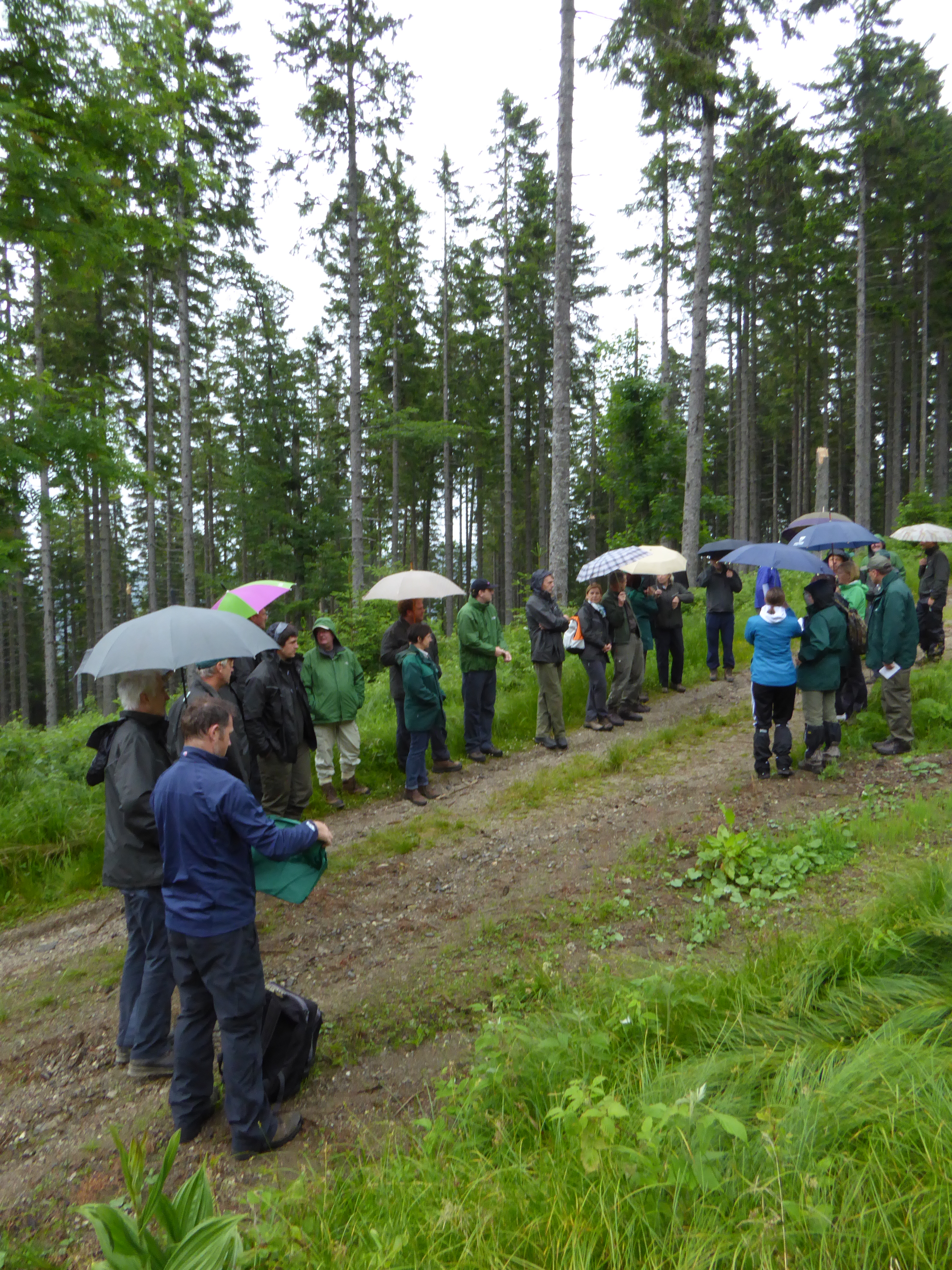 Predstavitev del na projektu Suport. Foto: Gorazd Mlinšek