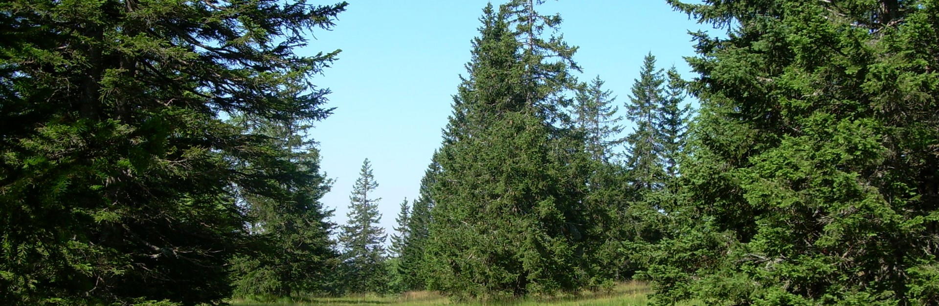 Natura 2000