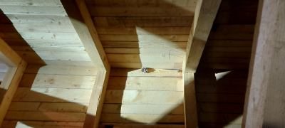 Splet_Novica_26_43